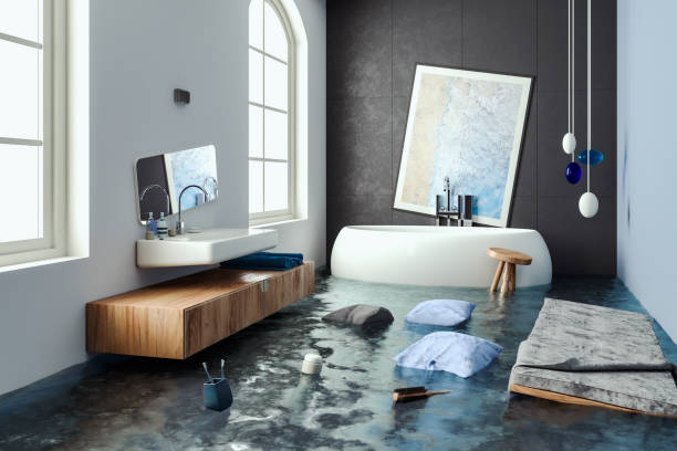 Best 24/7 water damage repair  in Ralston, NE
