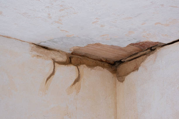 Best Ceiling water damage repair  in Ralston, NE