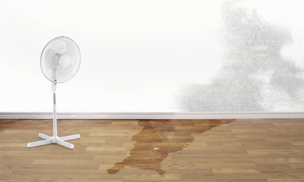  Ralston, NE Water damage restoration Pros