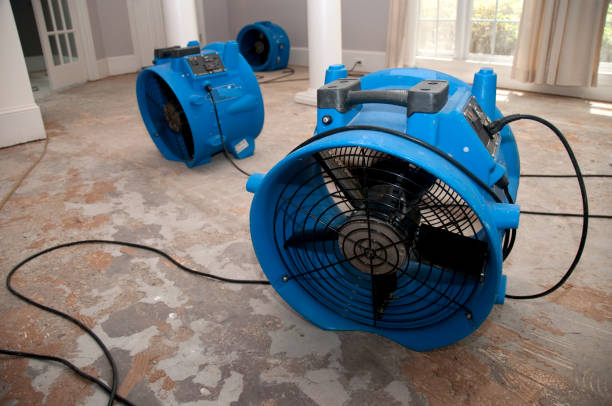 Carpet water damage restoration in NE