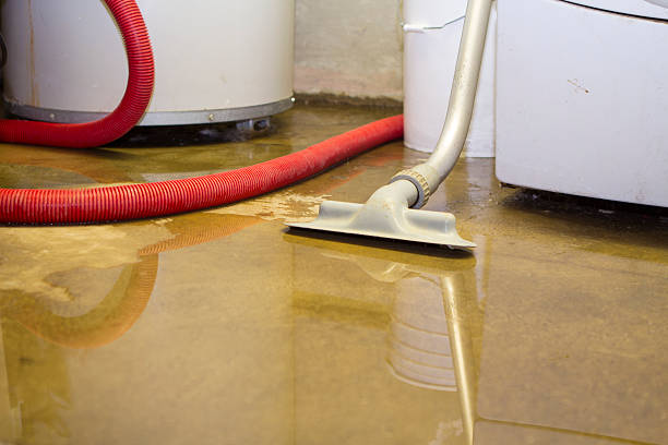 Best Ceiling water damage repair  in Ralston, NE