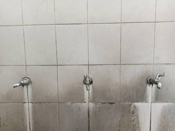 Best Fire Damage Restoration  in Ralston, NE