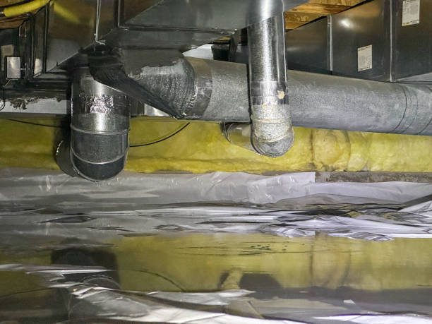 Best Flooded house restoration  in Ralston, NE